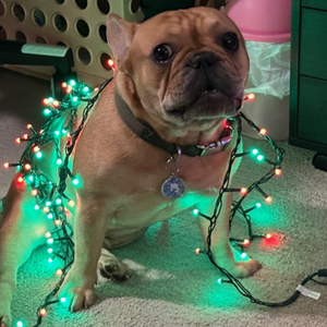 Damaris Rivera Arroyo